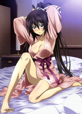 Бесконечные Небеса / IS: Infinite Stratos (2011) 1 сезон